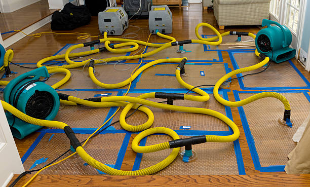 Professional Crawl Space Water Removal technician working in Junction City, OR